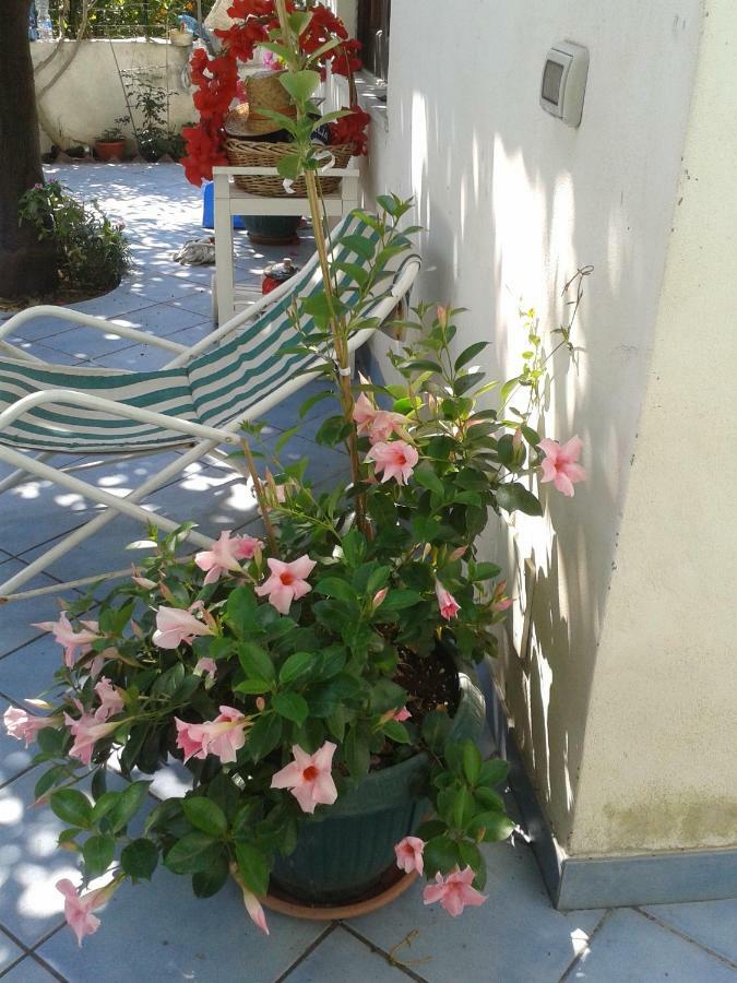 ליפארי B&B Albatros מראה חיצוני תמונה
